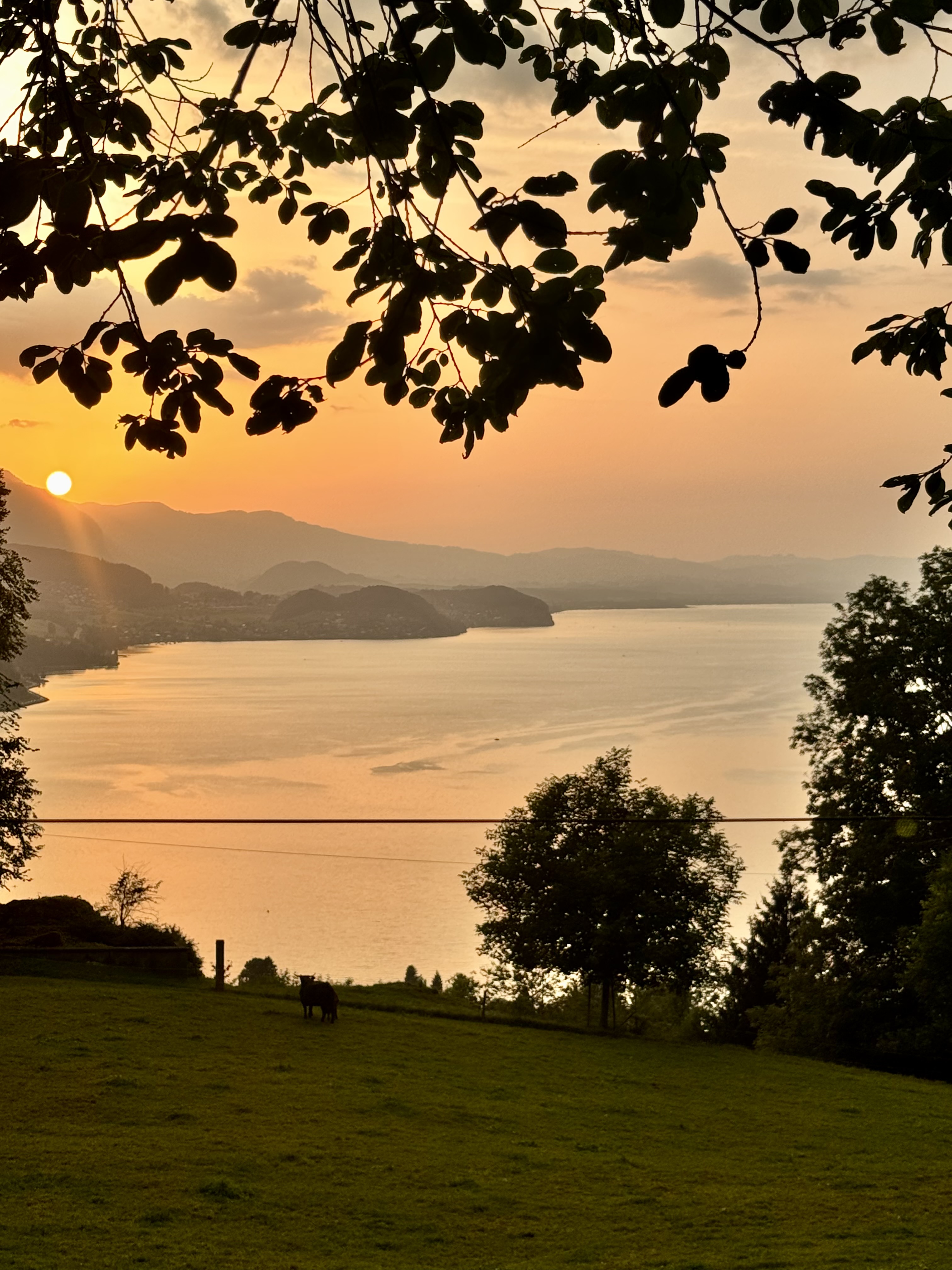 Bild von Tamara für den Spot 1300