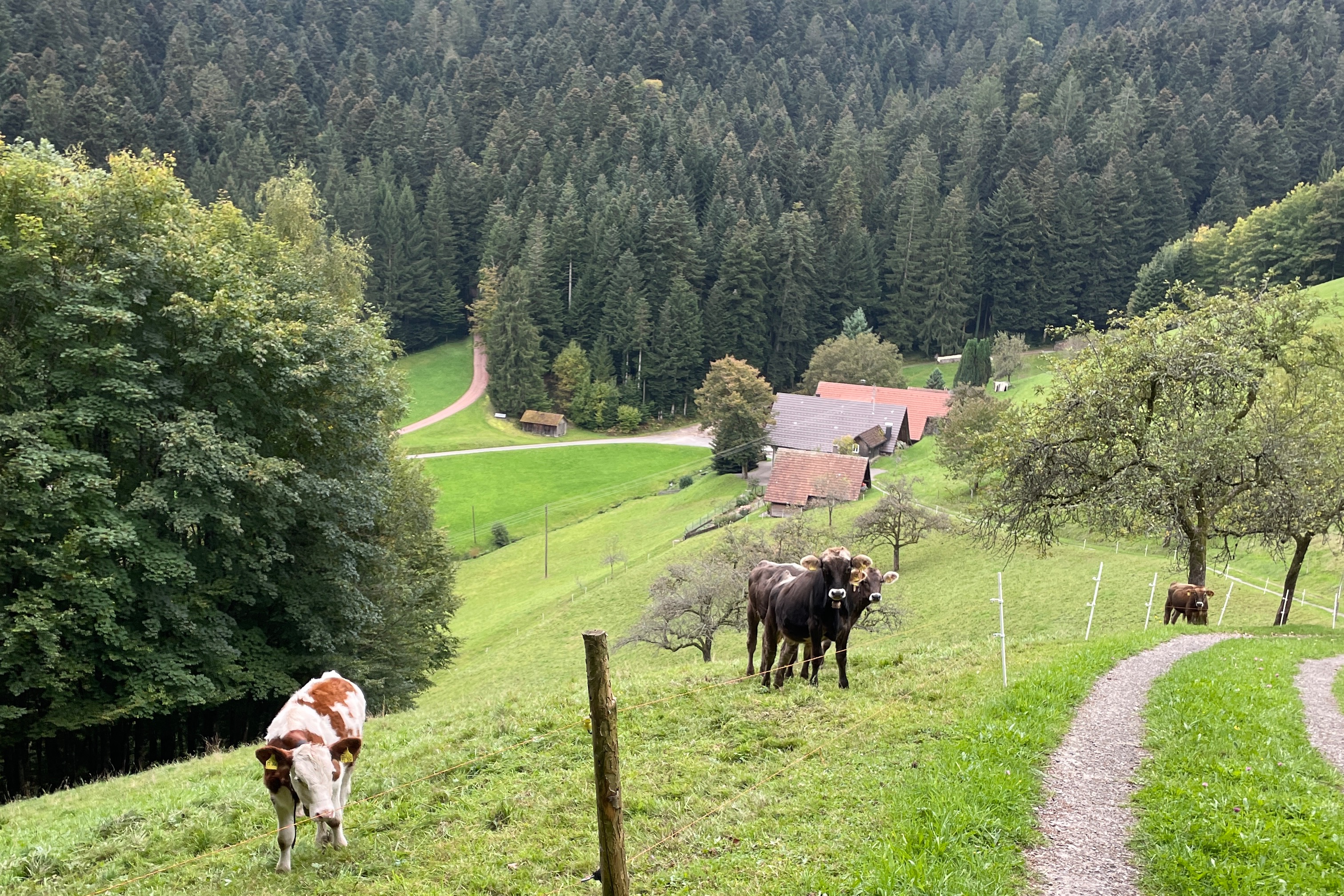 Bild von Stefan für den Spot 1557