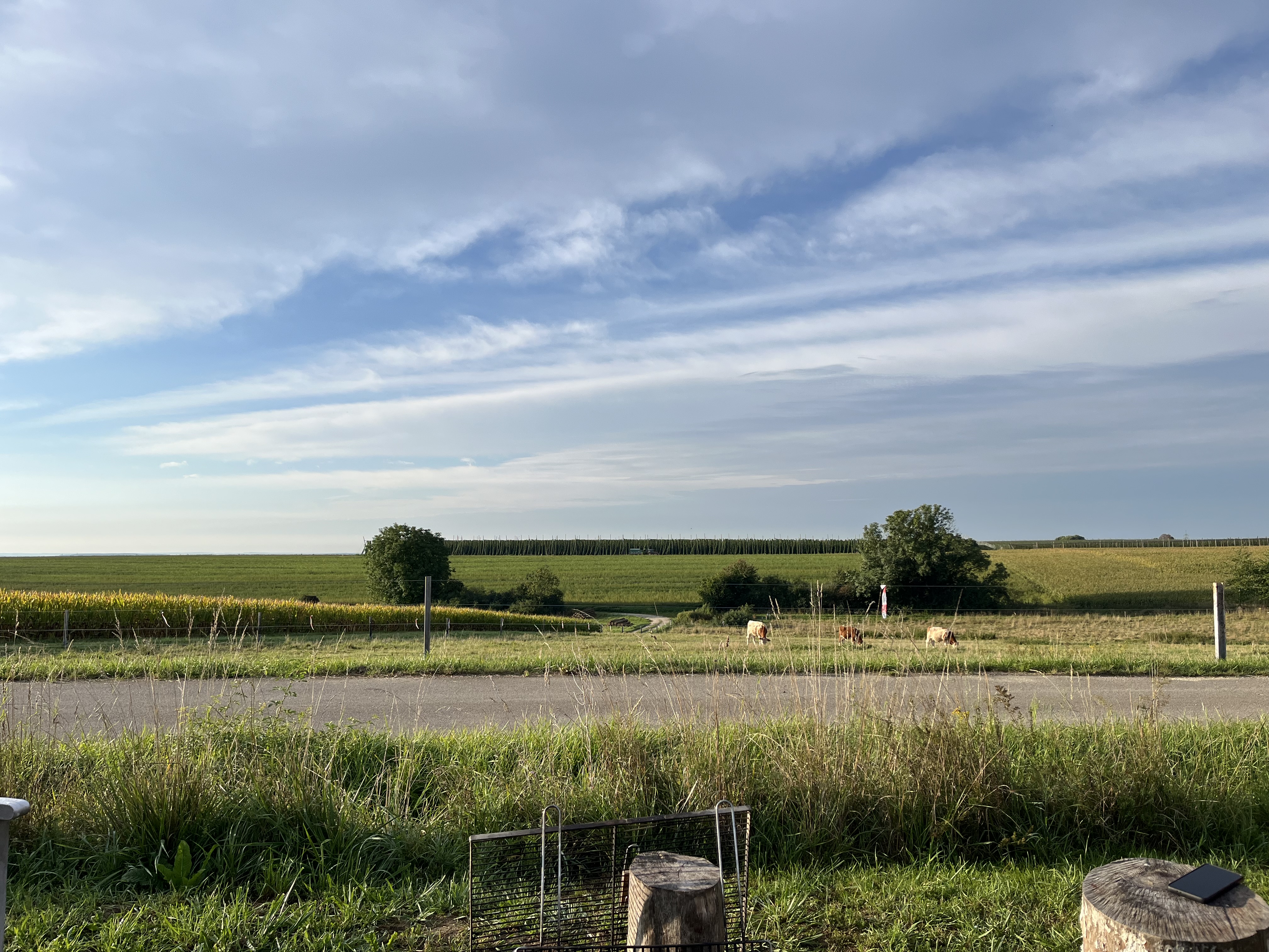 Bild von Marina für den Spot 1717