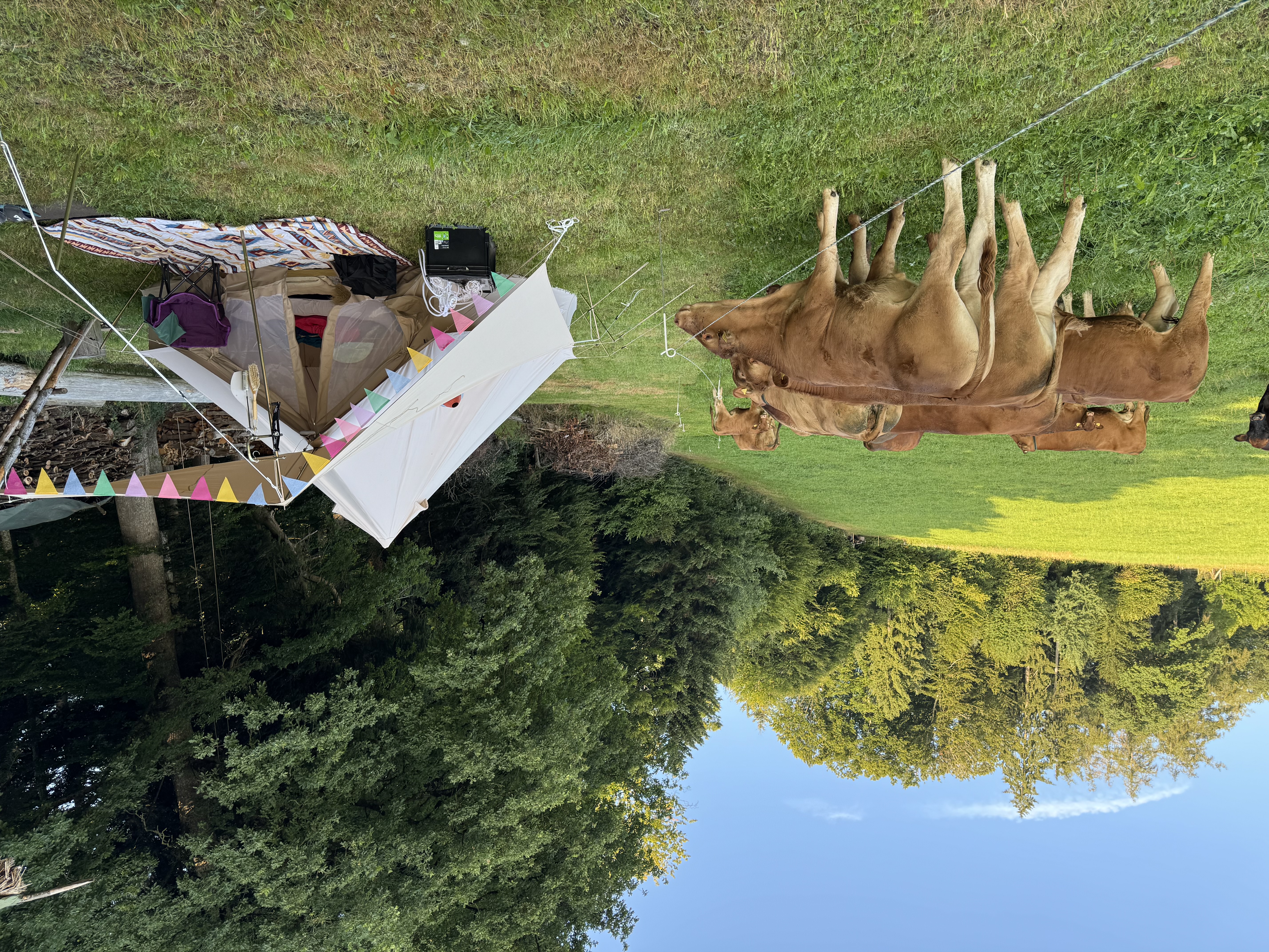 Bild von Melanie für den Spot 323