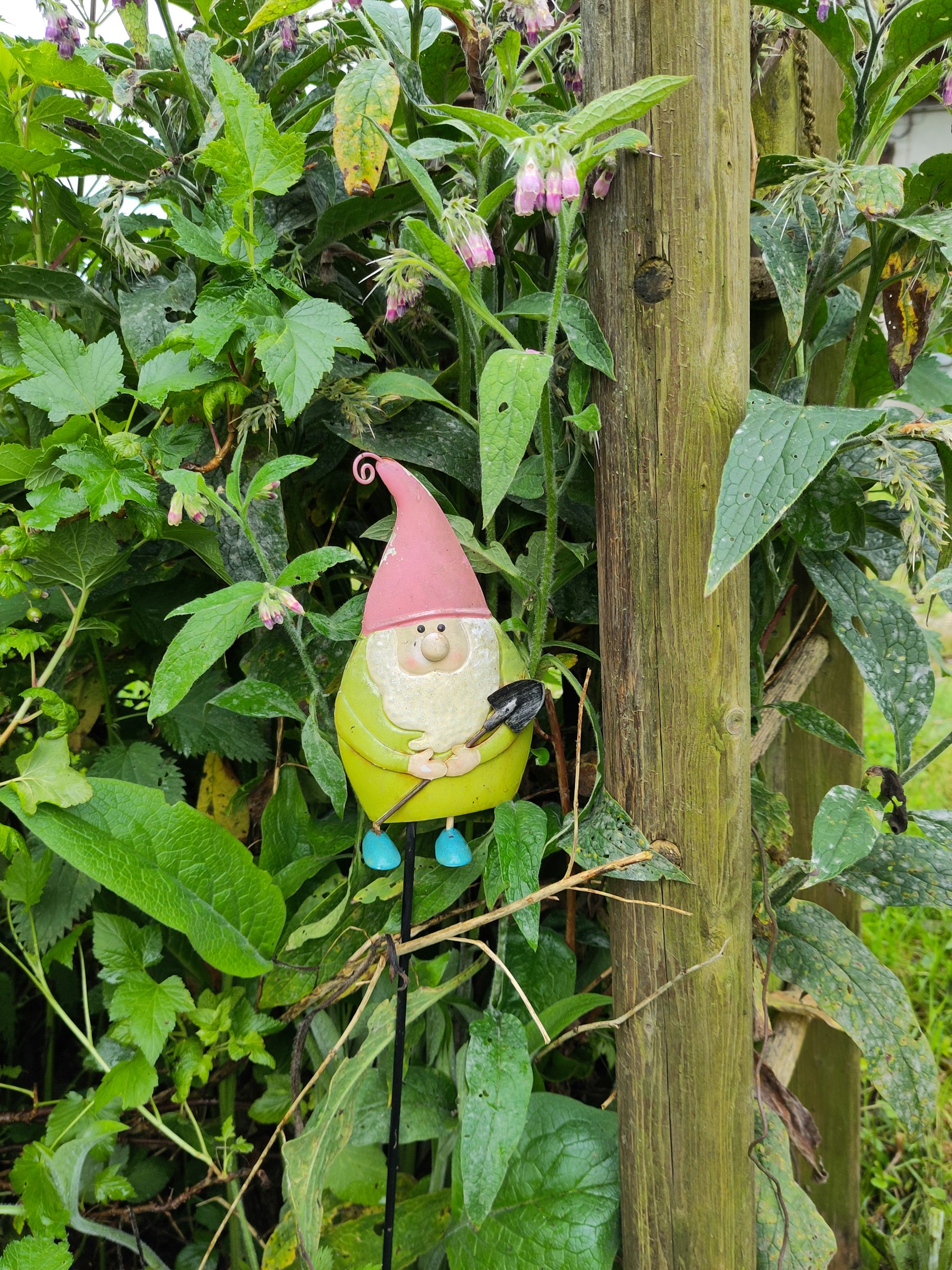 Öpfels Stellplatz auf dem Wieshof