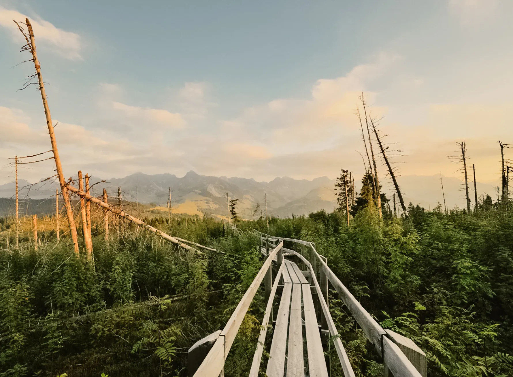 Planifie ton voyage au parc naturel de Gantrisch