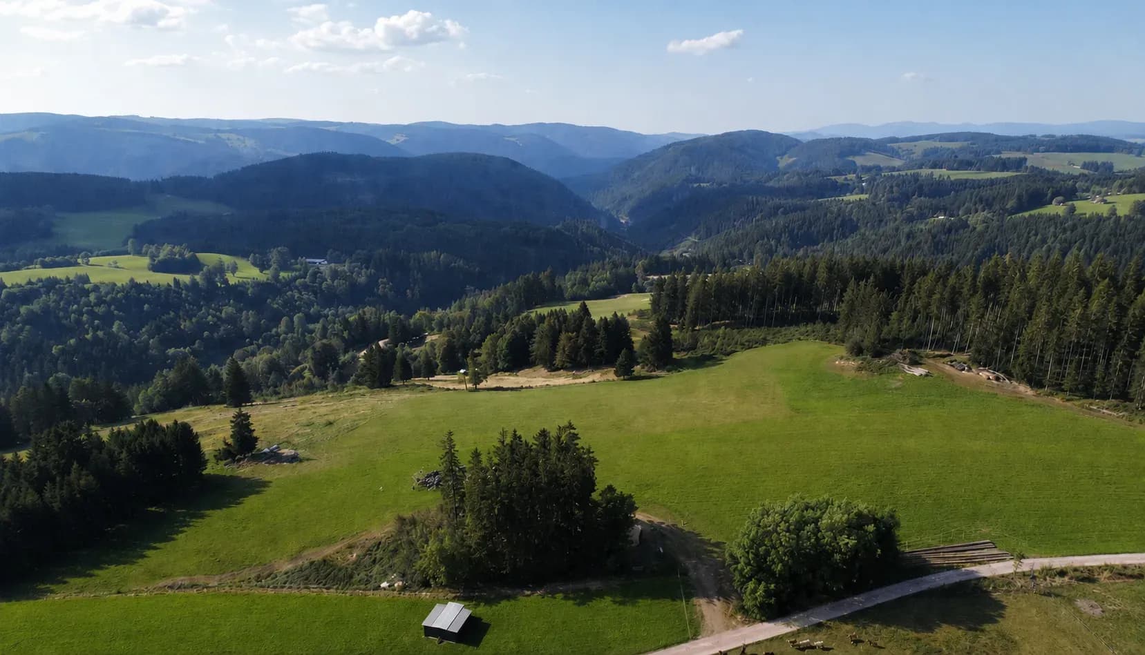 Bewaldete Hügel und Wiesen im Schwarzwald unter blauem Himmel