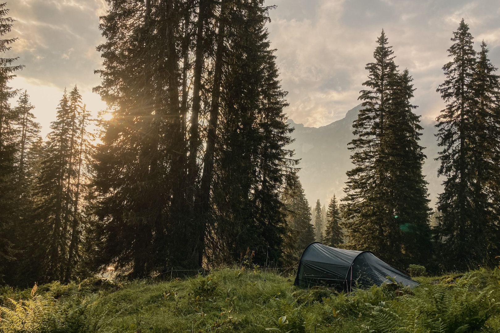 Libère-toi de la monotonie de la ville