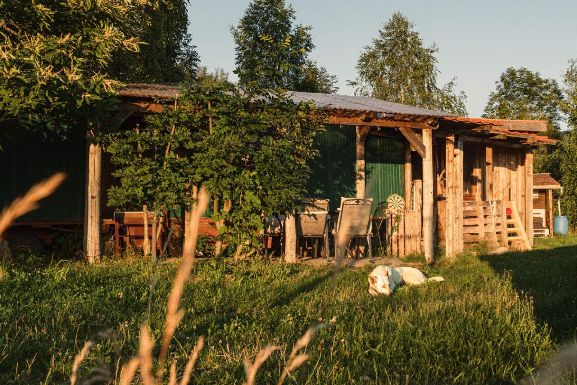 Erlebe ein Abenteuer mit deinem vierbeinigen Freund