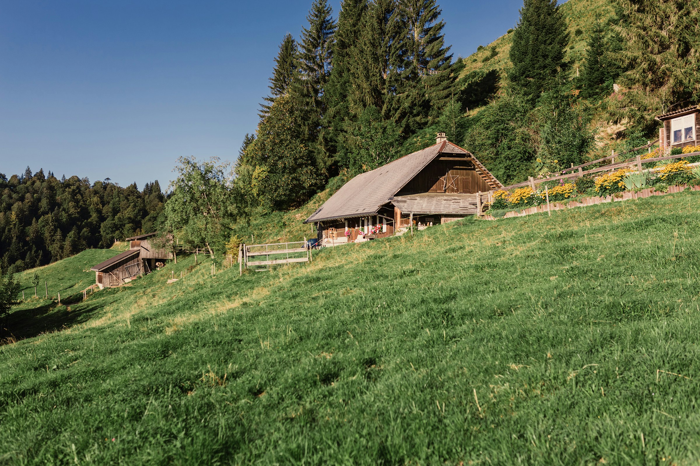 Alphütte Birbäumli