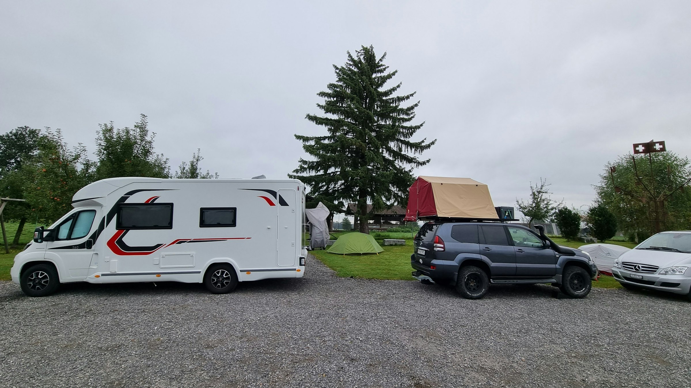 Hirschpark live - Nah am Wild sein